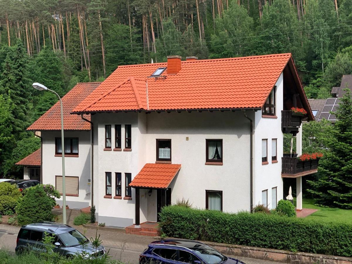 Ferienwohnungen Im Herzen Des Pfaelzerwaldes Elmstein 외부 사진
