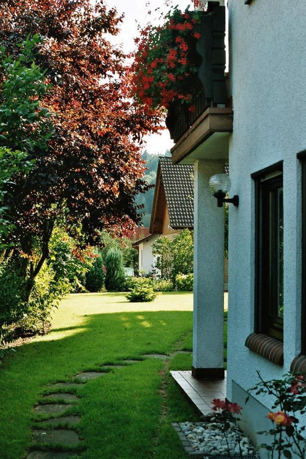 Ferienwohnungen Im Herzen Des Pfaelzerwaldes Elmstein 외부 사진