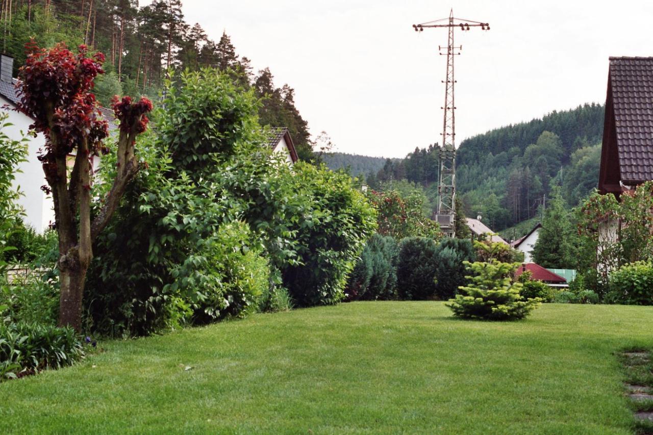 Ferienwohnungen Im Herzen Des Pfaelzerwaldes Elmstein 외부 사진
