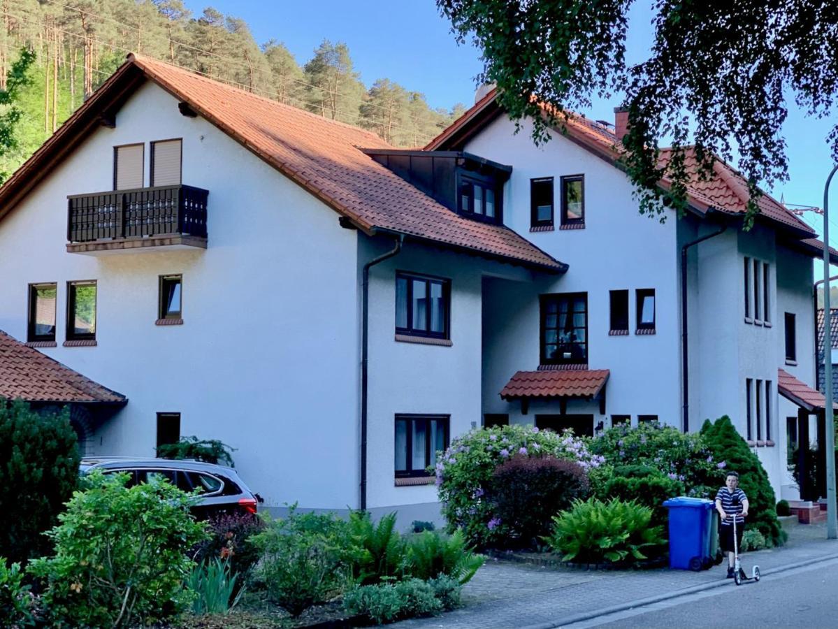 Ferienwohnungen Im Herzen Des Pfaelzerwaldes Elmstein 외부 사진