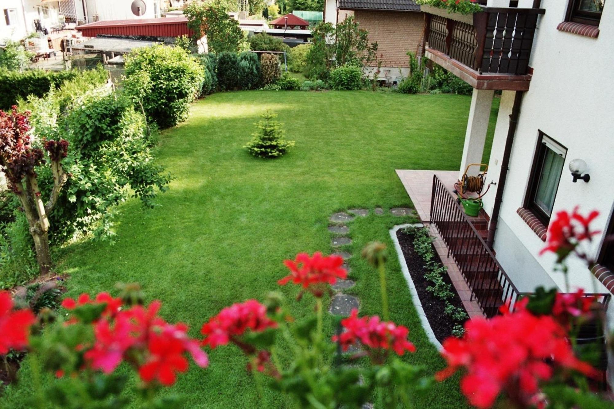 Ferienwohnungen Im Herzen Des Pfaelzerwaldes Elmstein 객실 사진